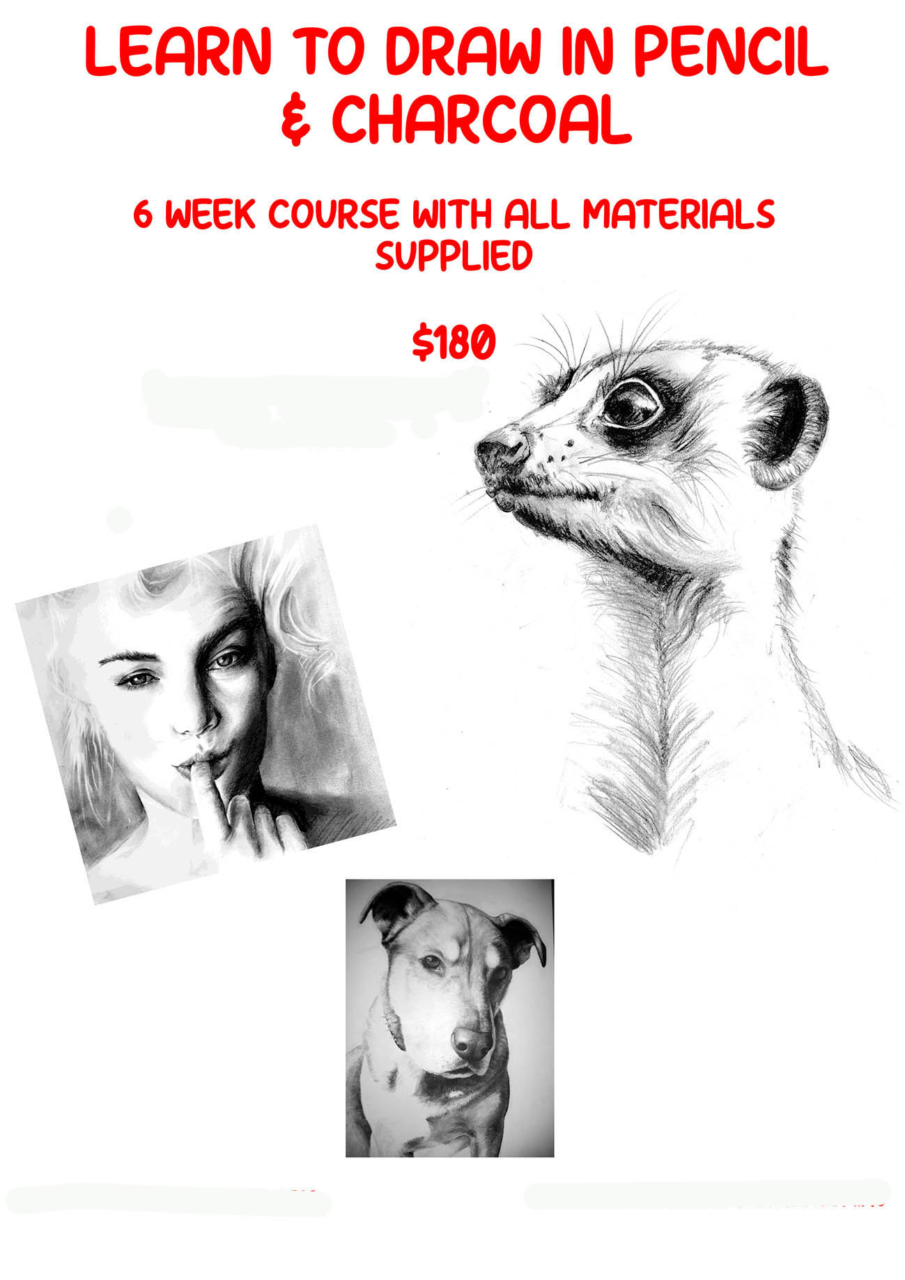 Flyer Learn to draw pencila