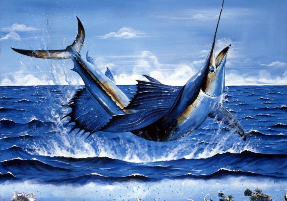 Swordfish Leaping in the air