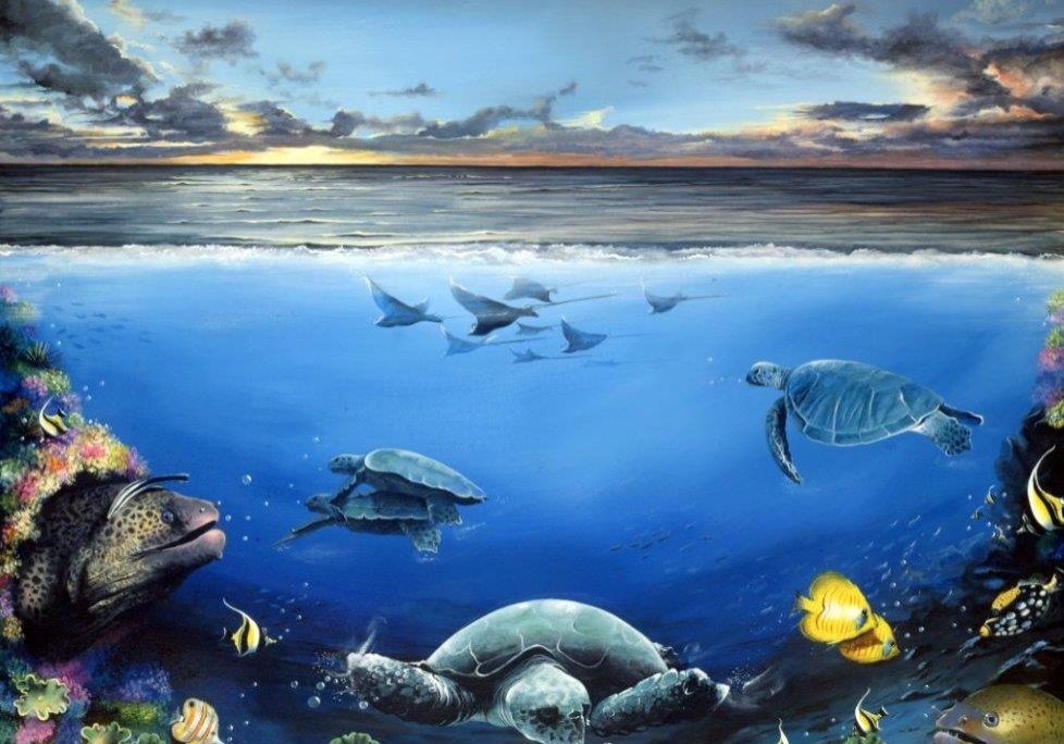 Turtles underwater reef